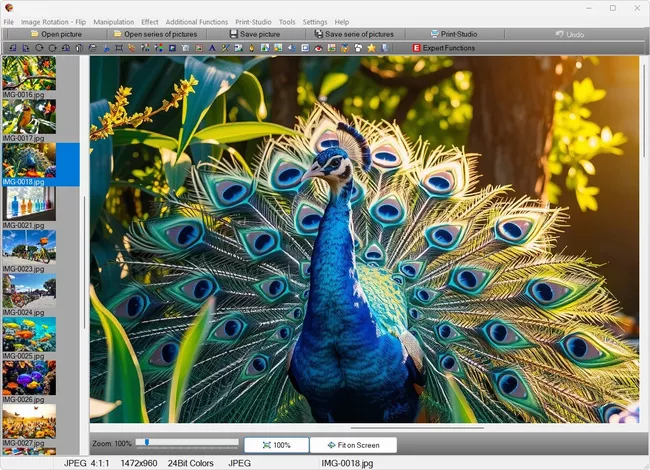Image editing software for organized photo work on Windows 11